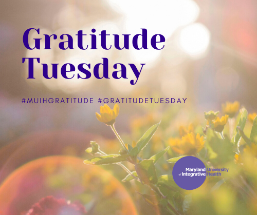 Maryland University of Integrative Health (MUIH) is pleased to announce the weekly celebration of “Gratitude Tuesday” as a reminder to focus on giving, expressing, and reflecting on your thanks.